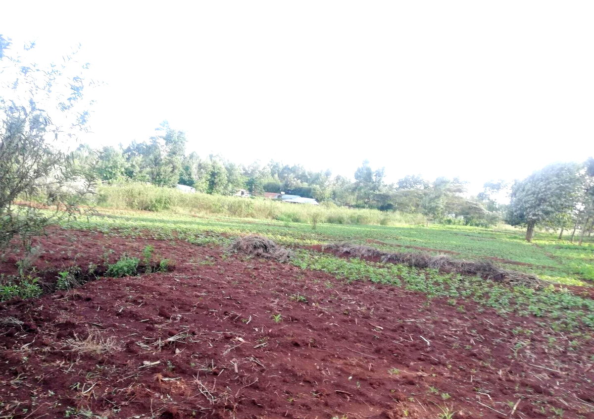 Garden Plot in Kibiku, Ngong
