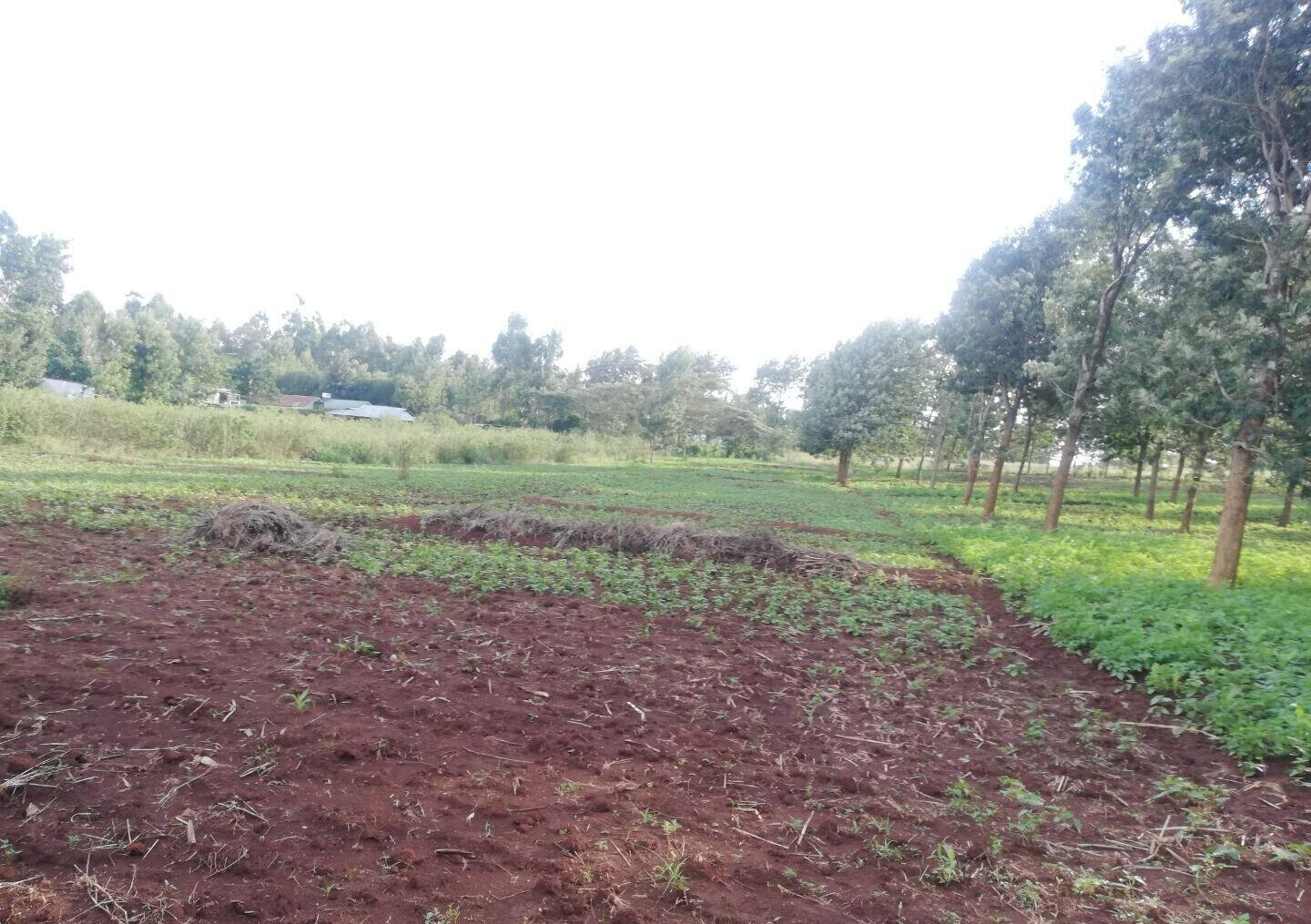 Garden Plot in Kibiku, Ngong
