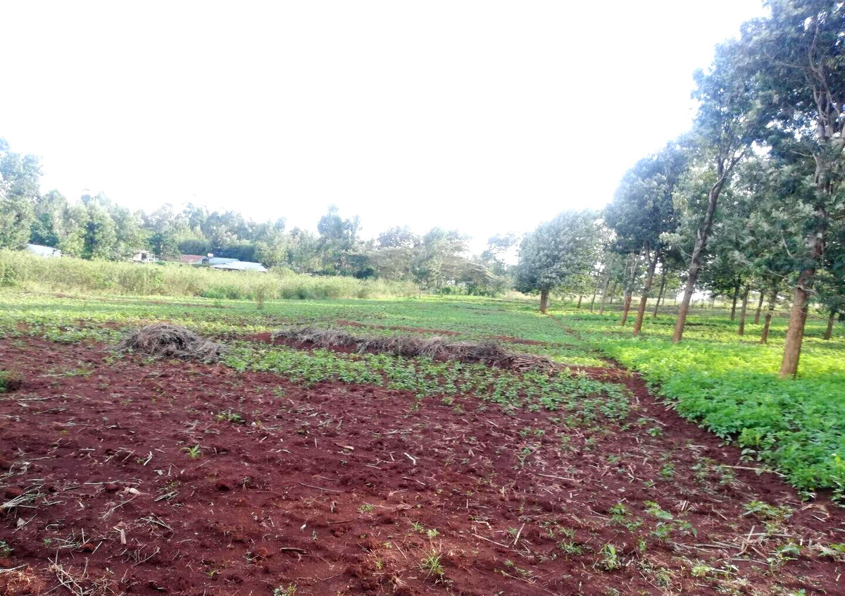 Garden Plot in Kibiku, Ngong
