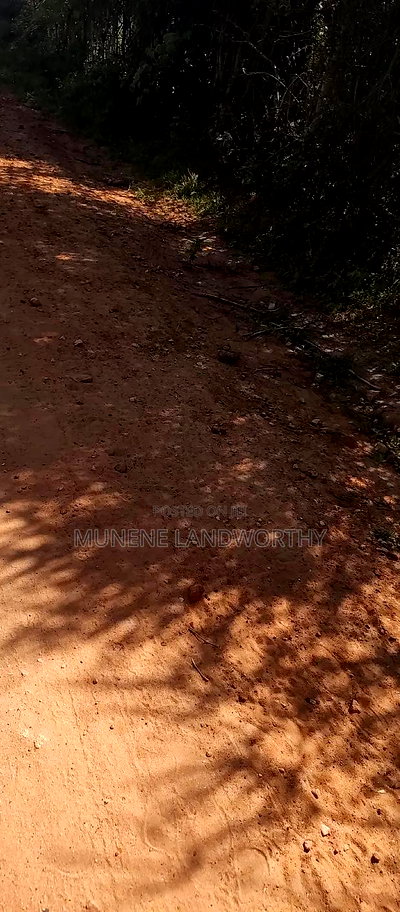Embu, Mutuobare,1 Acre on Sale Near Tarmac Road Center. - Image 15
