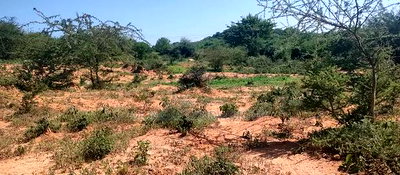 Embu, Mutuobare,1 Acre on Sale Near Tarmac Road Center. - Image 3