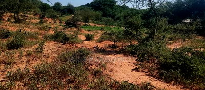 Embu, Mutuobare,1 Acre on Sale Near Tarmac Road Center. - Image 6