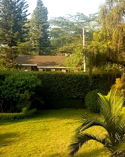 Quarter Acre Plot with Garden in Kilimani