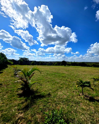8-Acre Luxury Estate with Garden