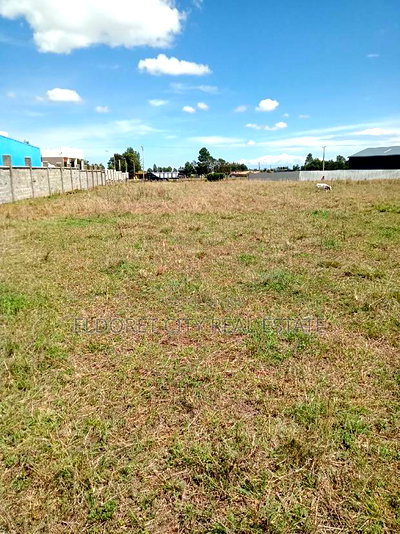 1/4 Plot Annex With Title Less Than 100metres From Tarmac - Image 3