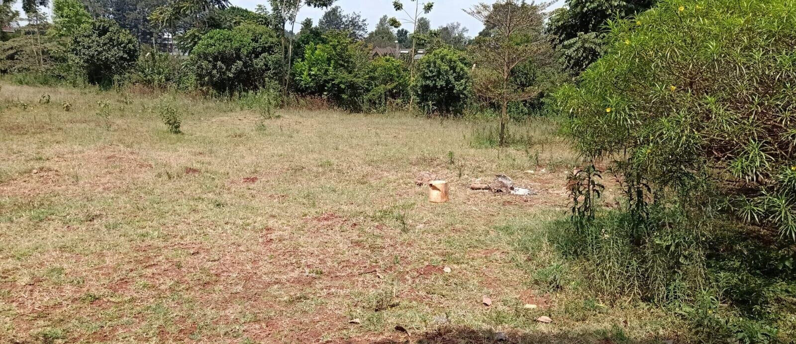 Half Acre Plot at KSh 55M