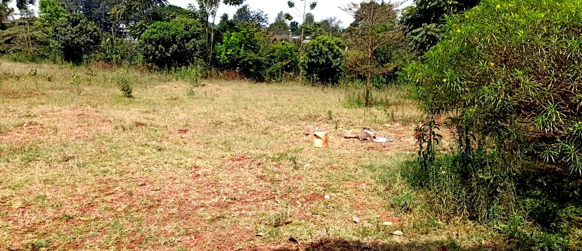 Half Acre Plot at KSh 55M