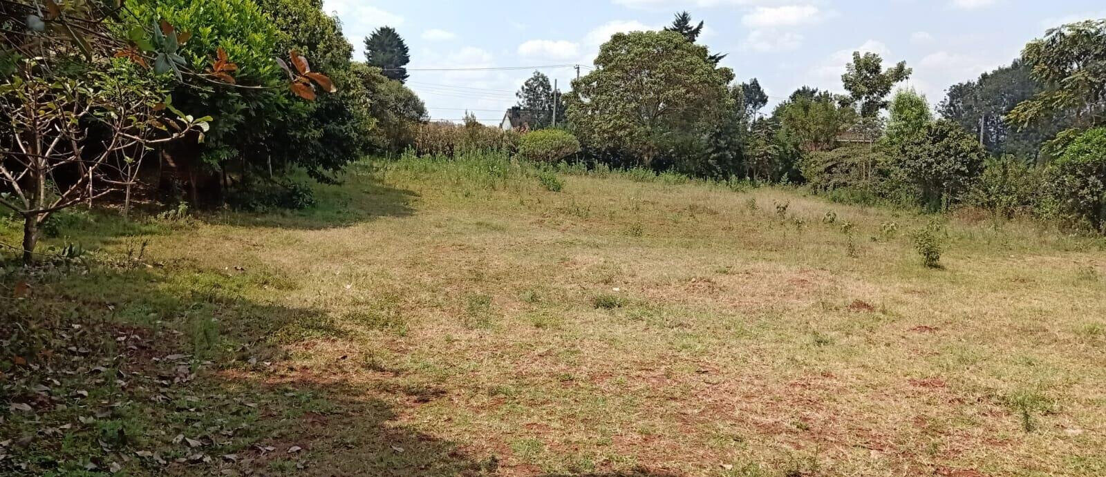 Half Acre Plot at KSh 55M