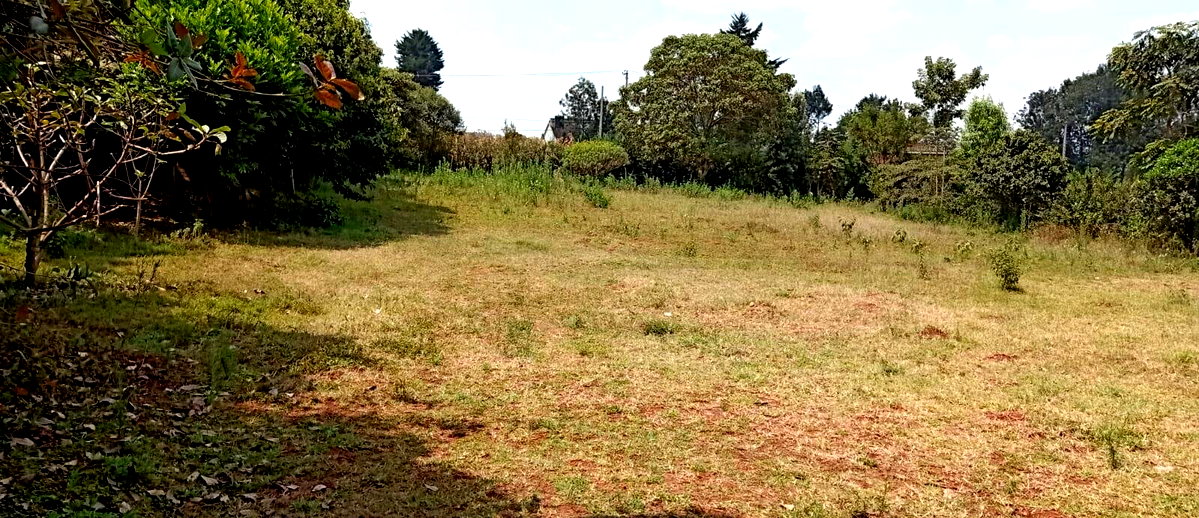 Half Acre Plot at KSh 55M