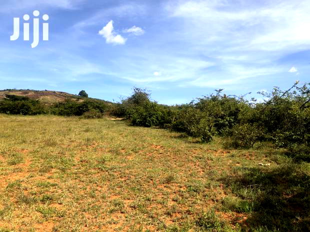 53 Acres In Lukenya