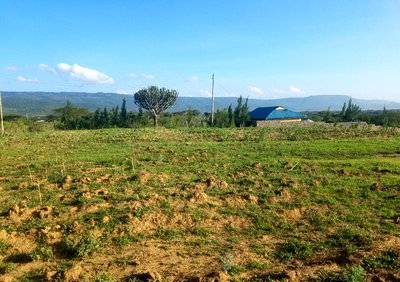 50x100 Plot for KSh 650K