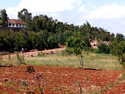 Prime Quarter Acre Plots For Sale In Kikuyu - Gikambura - Image 8