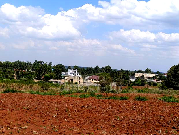 Prime Quarter Acre Plots For Sale In Kikuyu - Gikambura