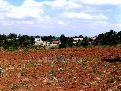 Prime Quarter Acre Plots For Sale In Kikuyu - Gikambura - Image 6
