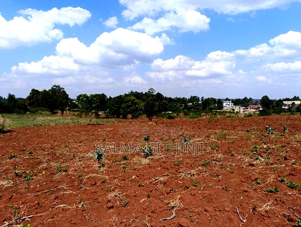 Prime Quarter Acre Plots For Sale In Kikuyu - Gikambura