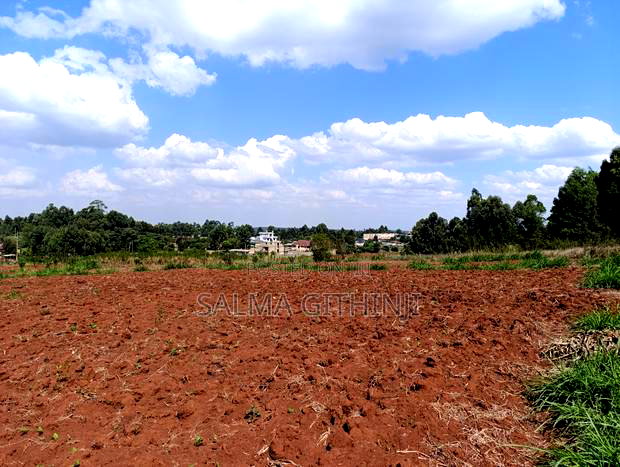 Prime Quarter Acre Plots For Sale In Kikuyu - Gikambura