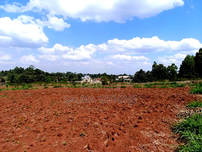 Prime Quarter Acre Plots For Sale In Kikuyu - Gikambura - Image 4