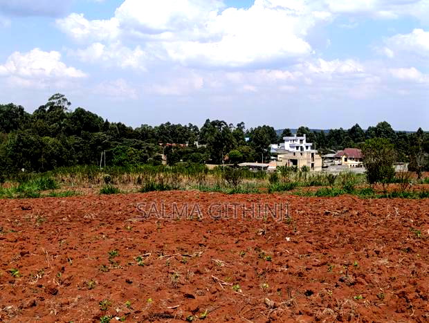Prime Quarter Acre Plots For Sale In Kikuyu - Gikambura
