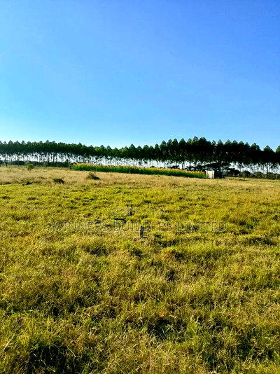 40 by 150 Plot for Sale at Mwihoko - Image 8