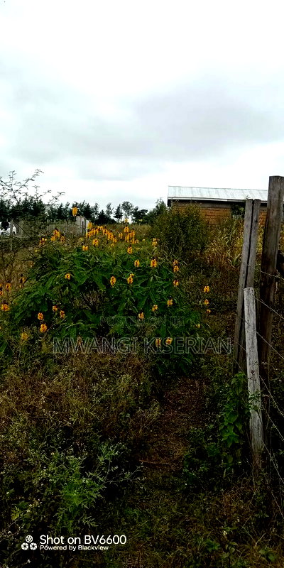 1acer of Land in Kiserian Farmers - Image 1