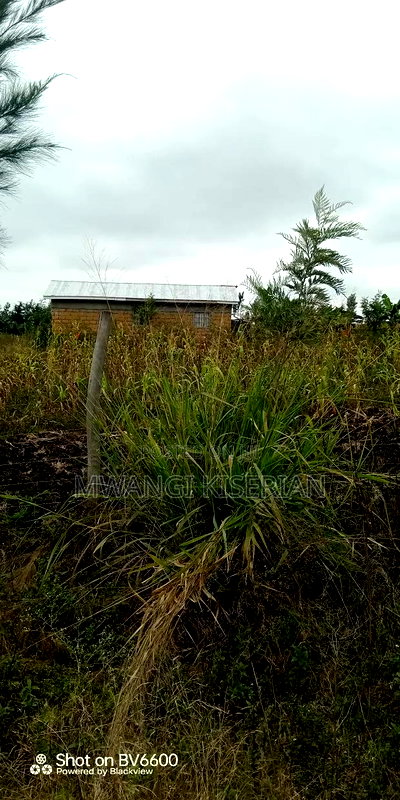 1acer of Land in Kiserian Farmers - Image 11