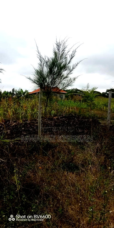 1acer of Land in Kiserian Farmers - Image 12
