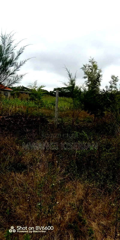1acer of Land in Kiserian Farmers - Image 10