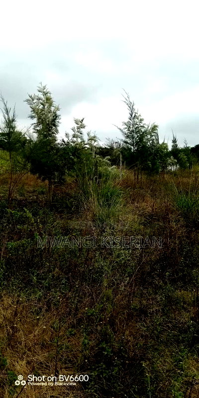 1acer of Land in Kiserian Farmers - Image 9