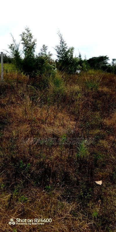 1acer of Land in Kiserian Farmers - Image 13
