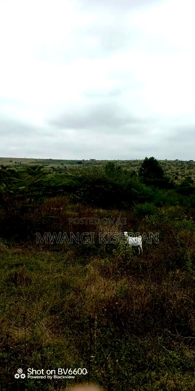 1acer of Land in Kiserian Farmers - Image 8