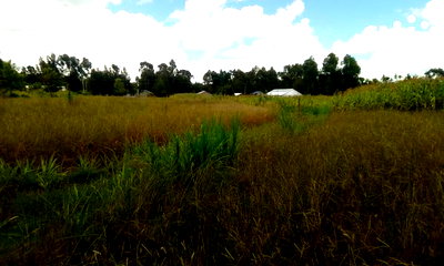 Oljoroorok Plots for Sale - Image 1