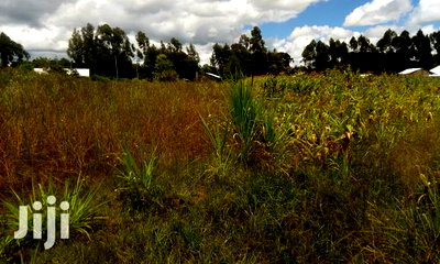 Oljoroorok Plots for Sale - Image 5