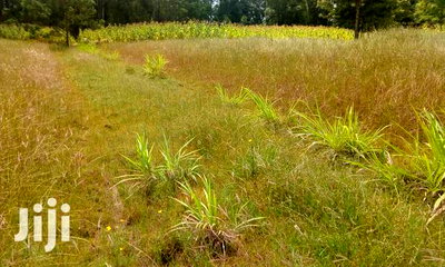 Oljoroorok Plots for Sale - Image 2