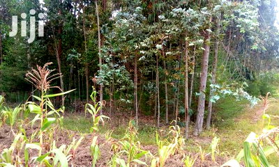 Oljoroorok Plots for Sale - Image 4