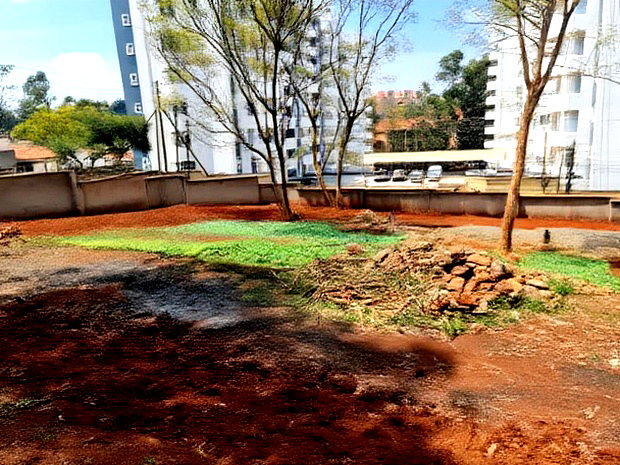 Lavington: 1.3 Acre for Sale