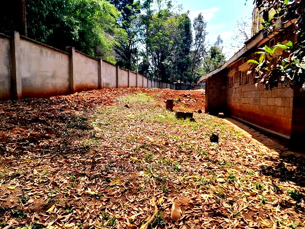 Lavington: 1.3 Acre for Sale