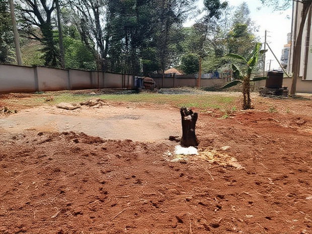Lavington: 1.3 Acre for Sale