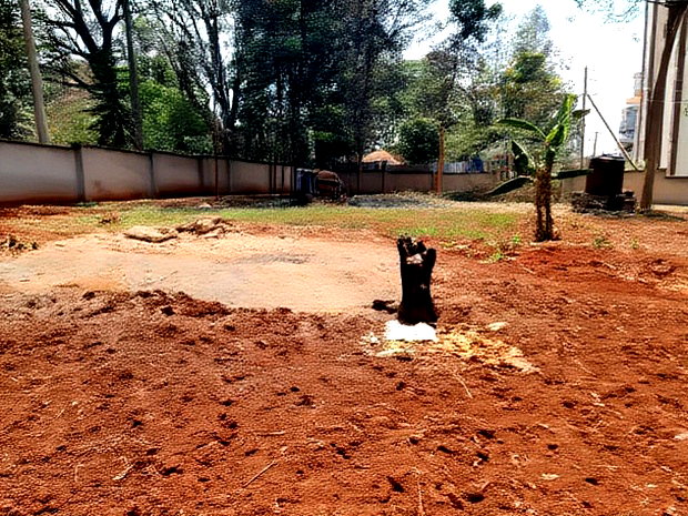 Lavington: 1.3 Acre for Sale