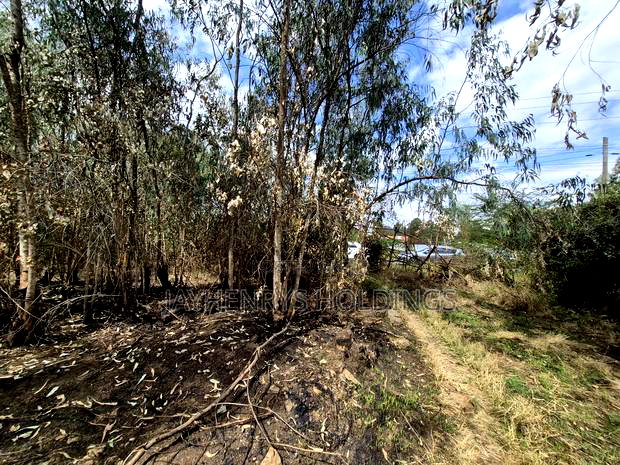 Half Acre Plot for Sale in Garden Estate