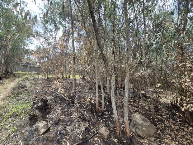 Half Acre Plot for Sale in Garden Estate