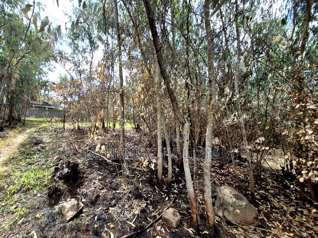 Half Acre Plot for Sale in Garden Estate