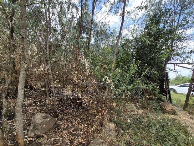 Half Acre Plot for Sale in Garden Estate