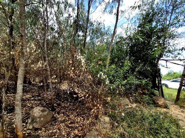 Half Acre Plot for Sale in Garden Estate