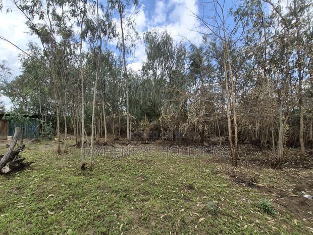 Half Acre Plot for Sale in Garden Estate