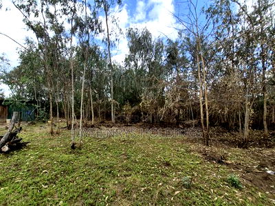 Half Acre Plot for Sale in Garden Estate - Image 6