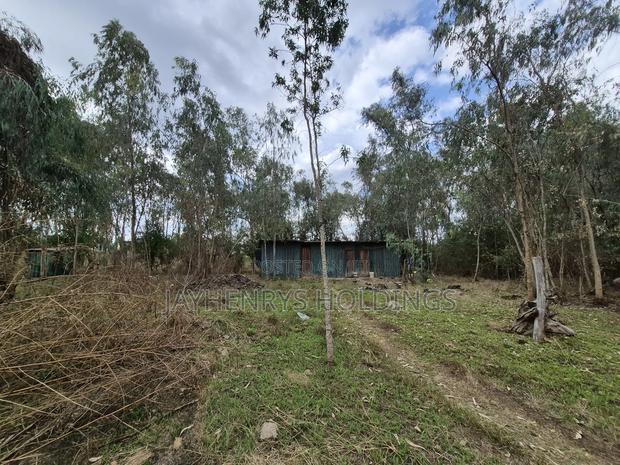 Half Acre Plot for Sale in Garden Estate