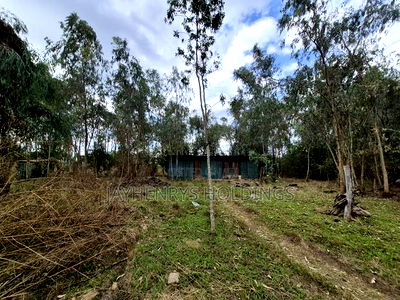 Half Acre Plot for Sale in Garden Estate - Image 7