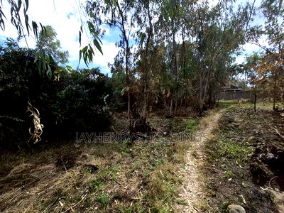 Half Acre Plot for Sale in Garden Estate - Image 3