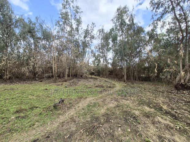 Half Acre Plot for Sale in Garden Estate