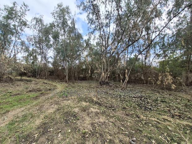 Half Acre Plot for Sale in Garden Estate